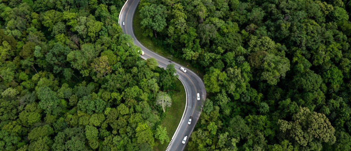 Vista aérea da floresta verde com carro na estrada