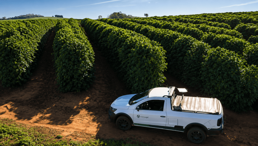 Uma das picapes da Cooxupé em meio à lavoura de café. O uso severo em estradas de terra, como mostrado na imagem, desgasta os motores e exige controle preciso de manutenção preventiva.